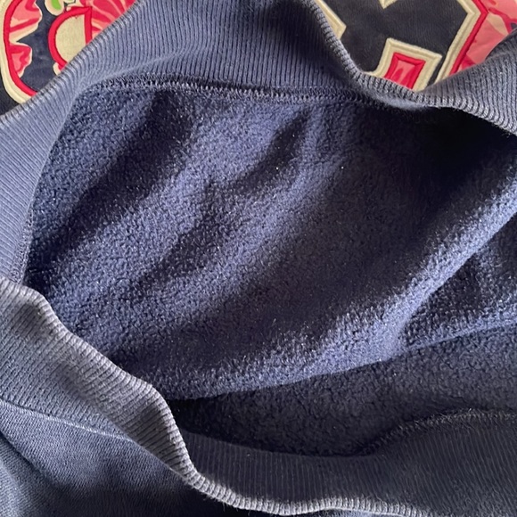 Phi Sigma Sigma Sorority Lily Pulitzer Vera Bradley quarter zip sweatshirt - Picture 5 of 5